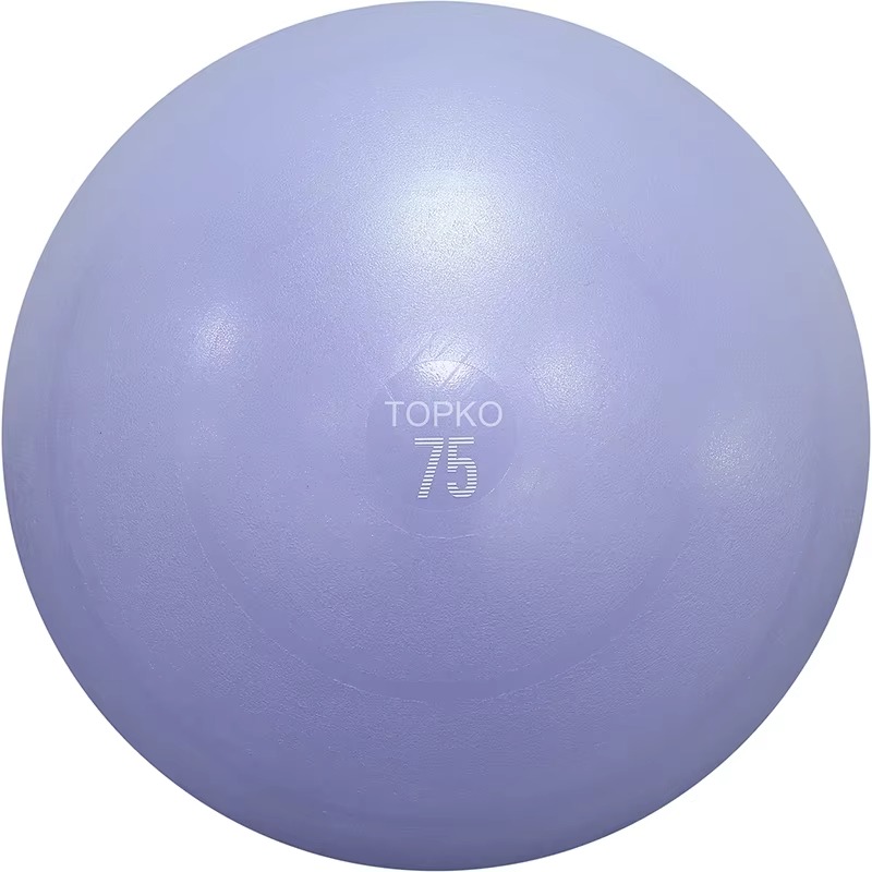 YTYIN TOPKO yogabal oefenbal,  - Exercise Ball Stability recensie en prijs