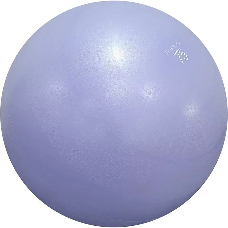 YTYIN TOPKO yogabal oefenbal,  - Exercise Ball Stability recensie en prijs